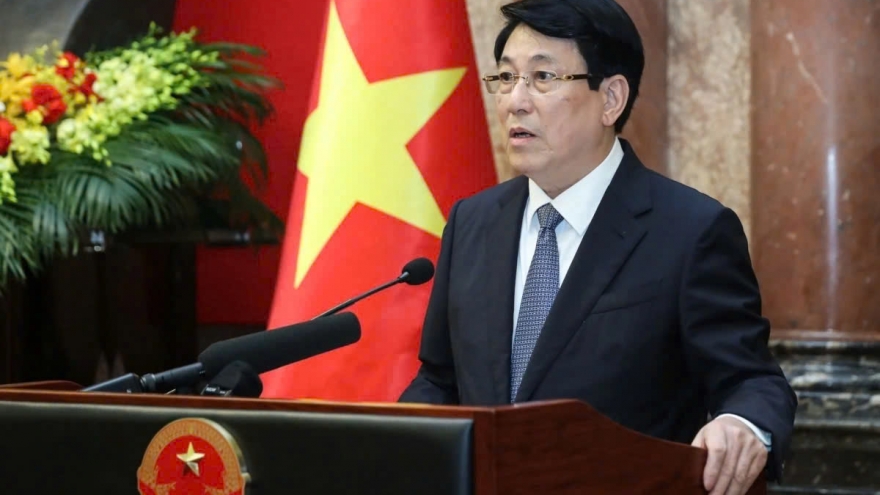 Vietnam supports Palestine’s just struggle for independence and freedom